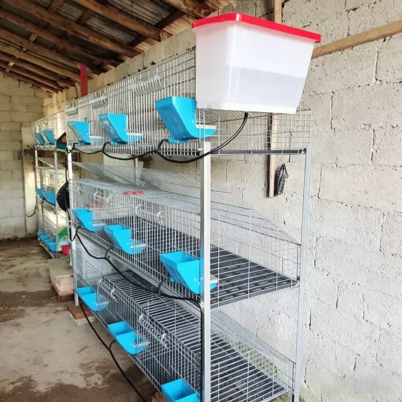 2/3/4 Layer Commercial Rabbit Cage with Plastic Slatted Floor & Feed Box, Automatic Water Line Rabbit Hutch for Breeding Farm