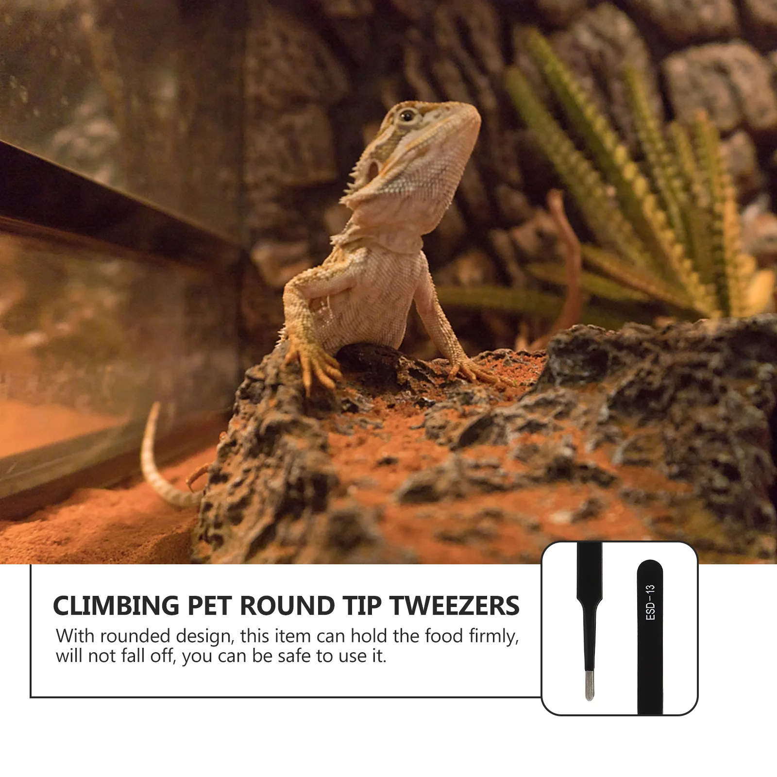 

Stainless Steel Reptile Feeding Tweezers Anti-Rust Lizard Feeding Clip Smooth Surface Easy Use Reptile Food Tweezers