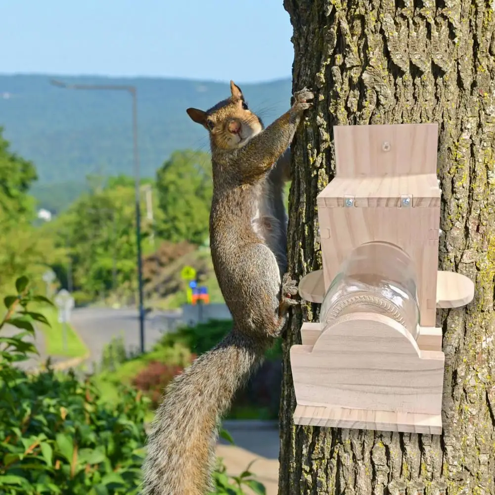 Glass Squirrel Feeder Capacity Squirrel Feeder Weather-proof Wooden Squirrel Feeder Heavy Duty Easy Refill Outdoor for Clean