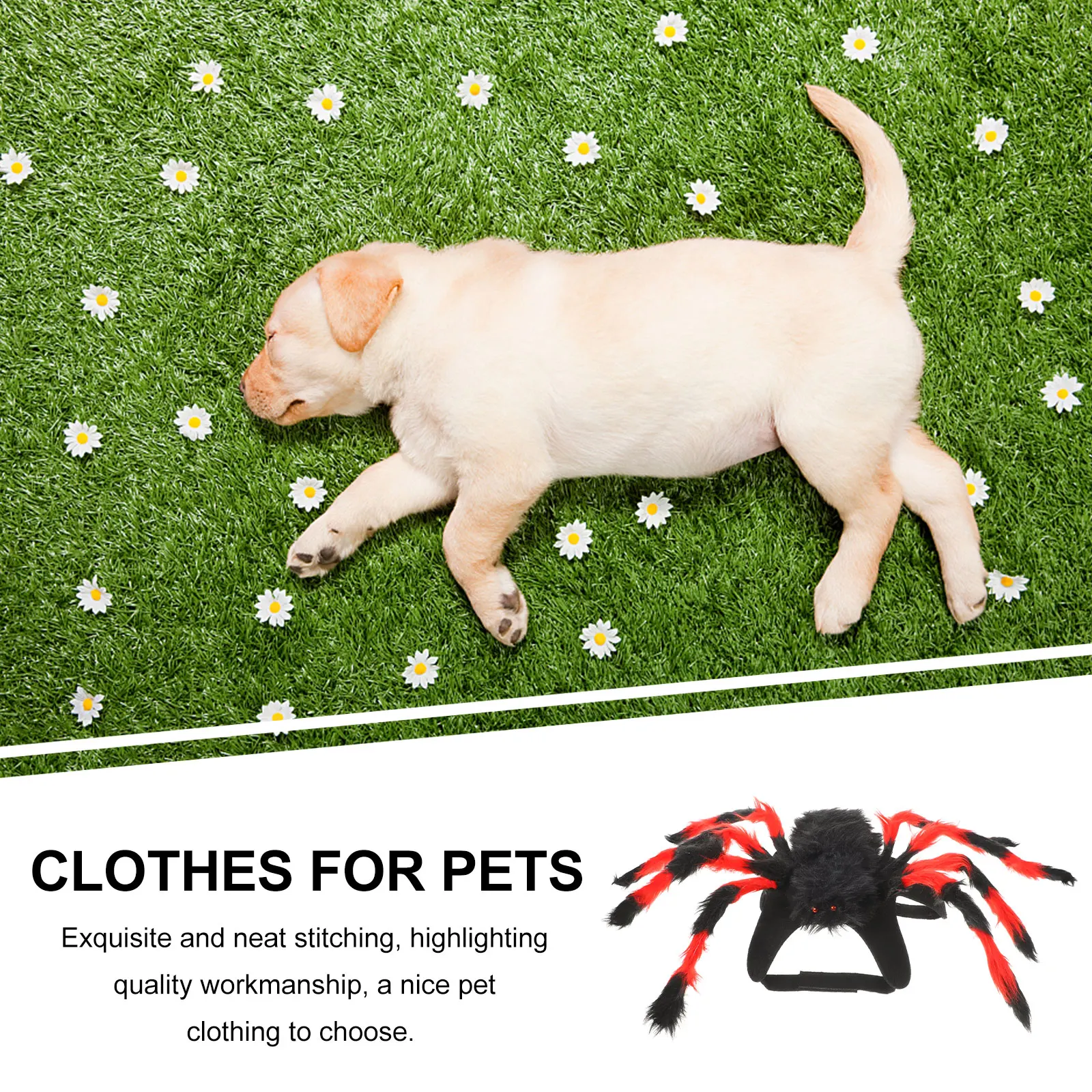 

Funny Spider Costume Halloween Dog Cat Outfit For Small Medium Dogs Cats Party Cosplay Halloween Pet Supplies Costume Pet