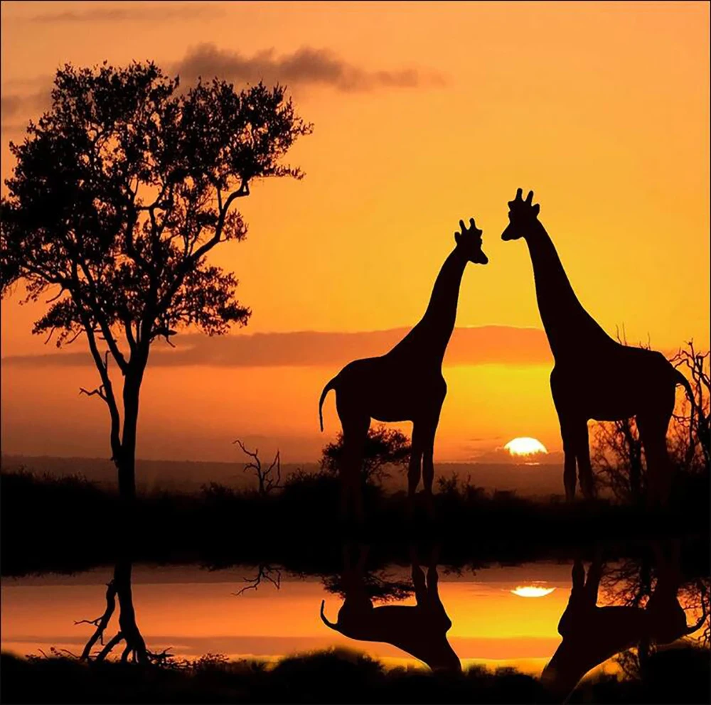 

Jungle Safari Giraffe African Plains Sunset Tree backdrops party backgrounds