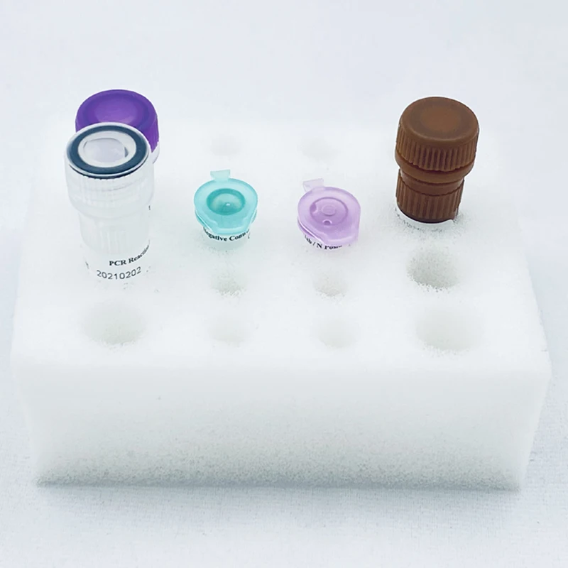 

Sampling Tube Rack Small Sample Storage Box for Detection and Identification The Stored Samples Detect and Store