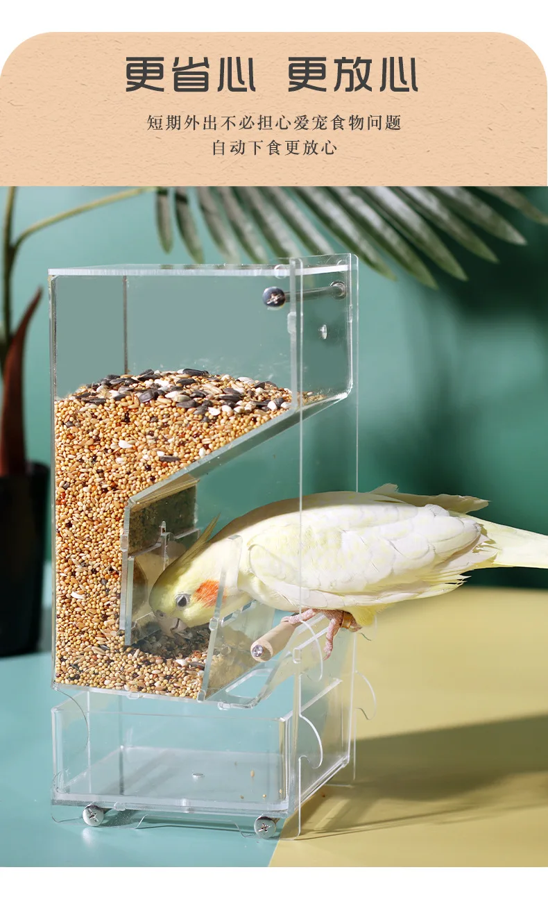 Automatic Parrot Feeder, Bird Feeder, Anti-scattering and Splash Supplies