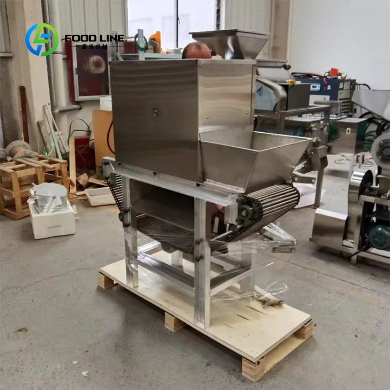 Customized Fully Automatic Chain Type Garlic Peeling Machine Chain Style Garlic Skin Remover for Food Processing Plant