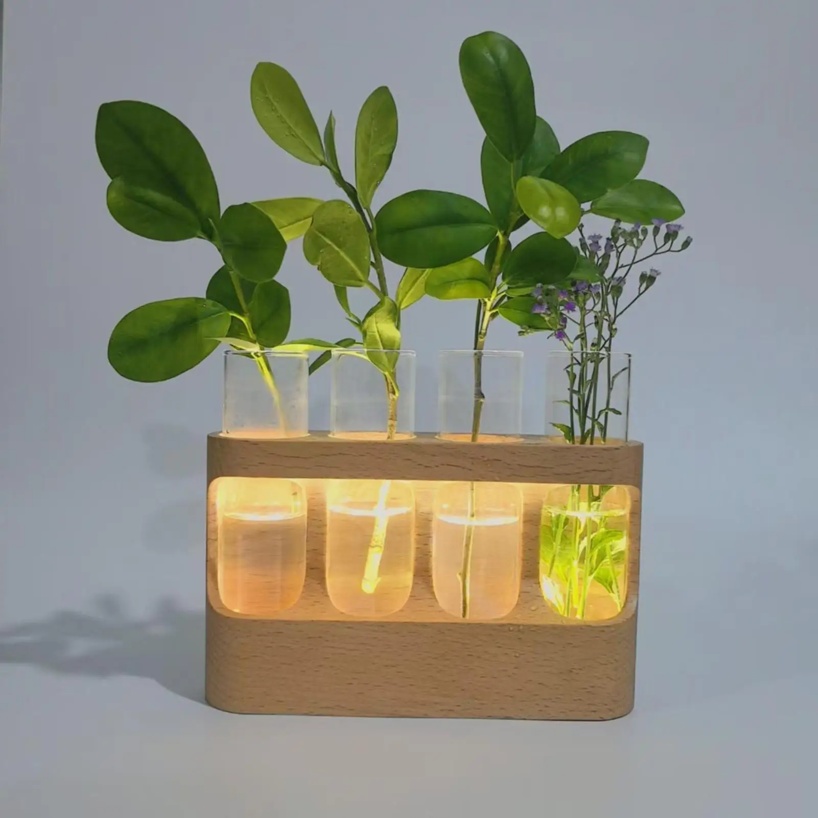 

Декоративный гидропонный террариум, стеклянные пробирки, гидропонная ваза, трубка для размножения растений с регулируемыми светодиодными фонарями