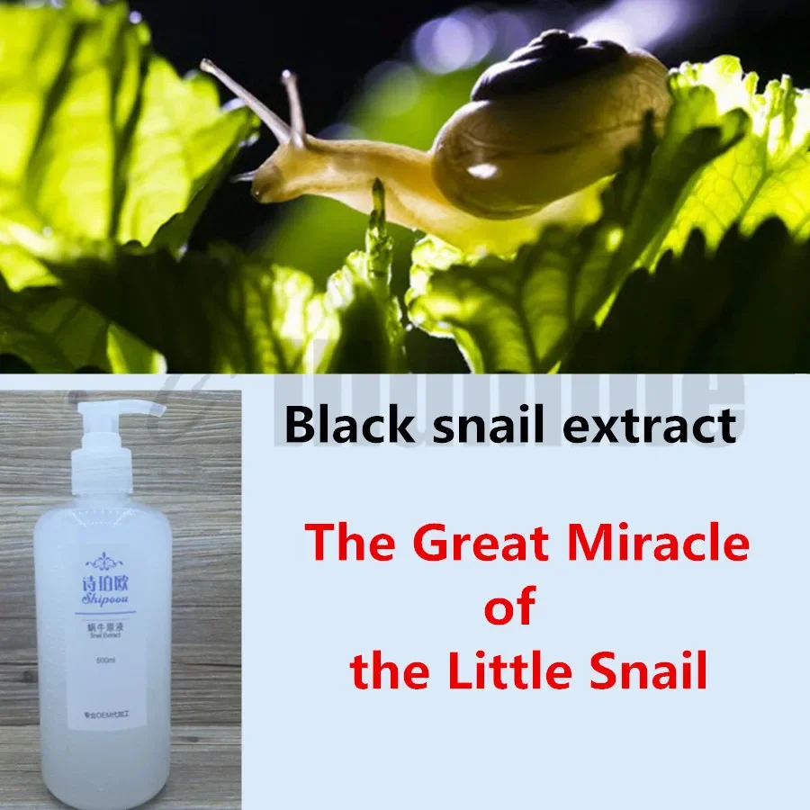 Snail Mucus Essence Solution Repair Replenishment Brightening Acne Printing Beauty Salon OEM 500ml