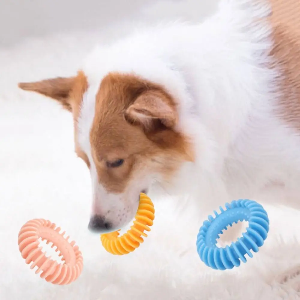 

Practical Bite Resistant Dog Biting Ring Toy Wear Resistant Soft Dog Molar Toy Ring Rubber Dog Chew Toy for Dogs Puppy