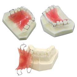 Bionator do leczenia ortodoncji Model zębów stomatologicznej zdejmowany do badań stomatologicznych protez demonstracyjnych