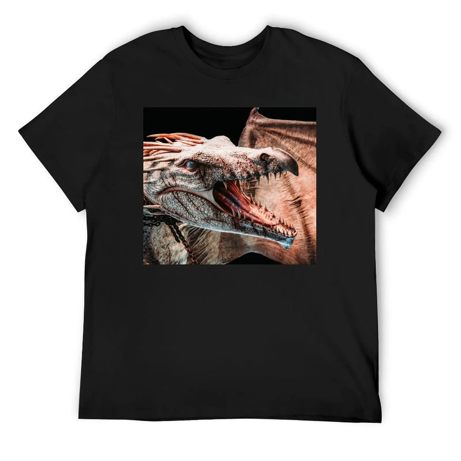 Футболка Gringotts ukranian Iron Belly Dragon, одежда на день Святого Валентина, толстовки больших размеров, персонализированные рубашки, мужская футболка с рисунком