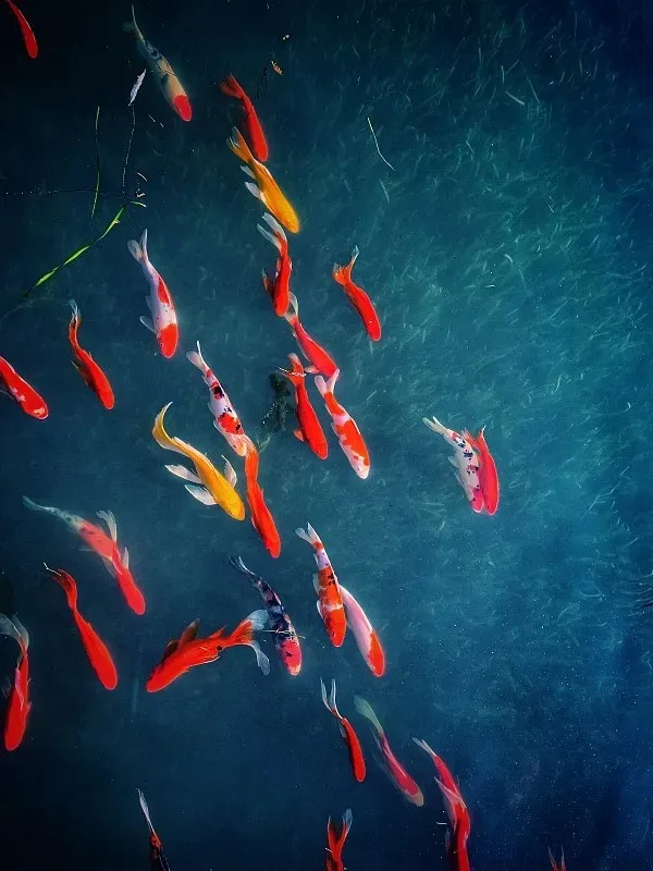 

For WPL B36-2 1/16 Metal Rocket Launcher Pipe Rc Truck BM-21 Grad 6x6 Vehicle 2-Speed Gearbox