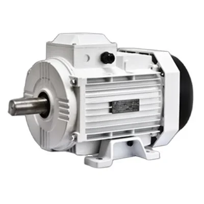 

-100L-2 Guaranteed quality unique three-phase asynchronous motor