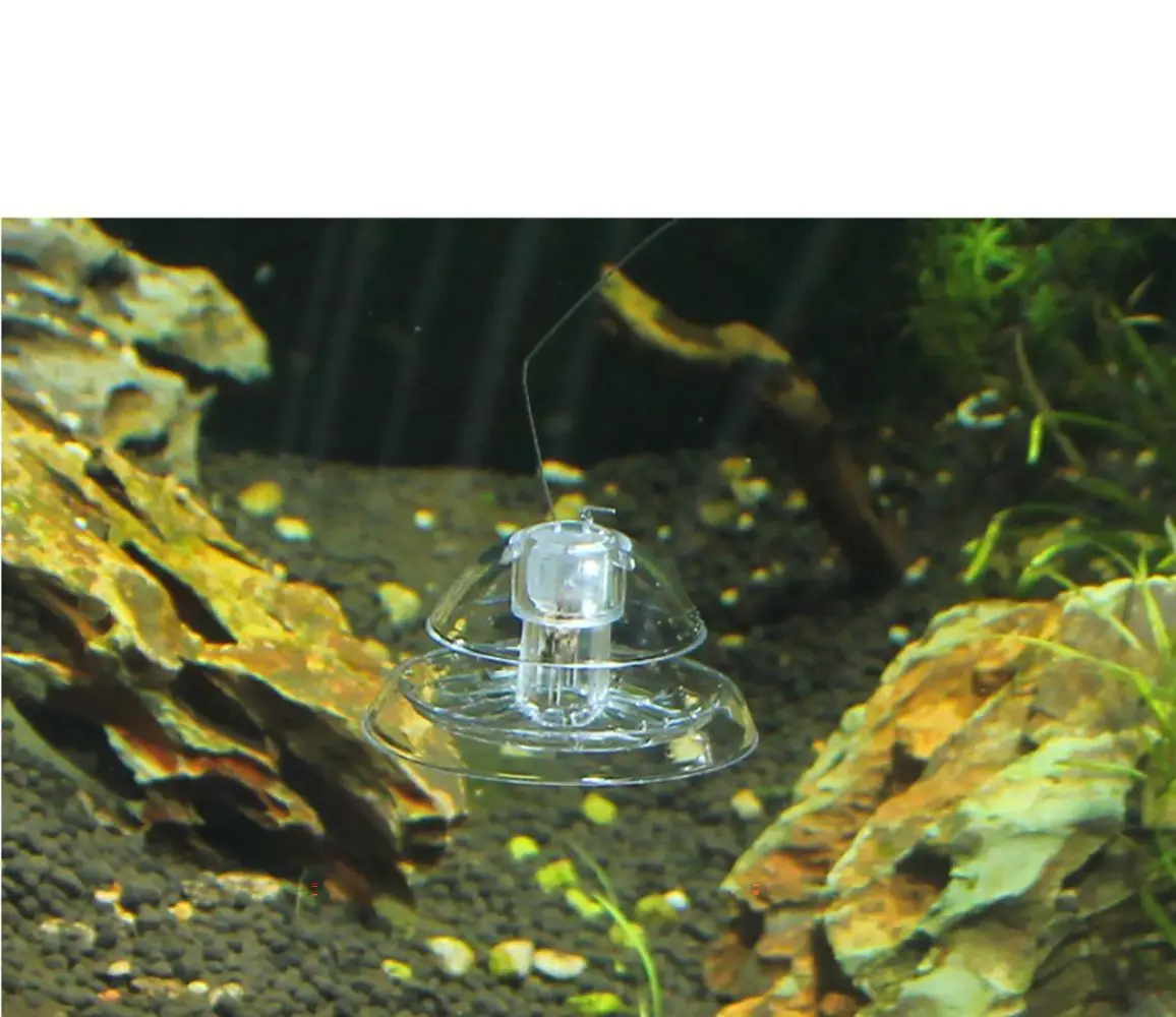 1PC Fish Tank Accessories Aquarium Plant Snail Trap Catcher Plastic Leech Planaria Pest Catch Box Fish Tank AquariumCleaningTool