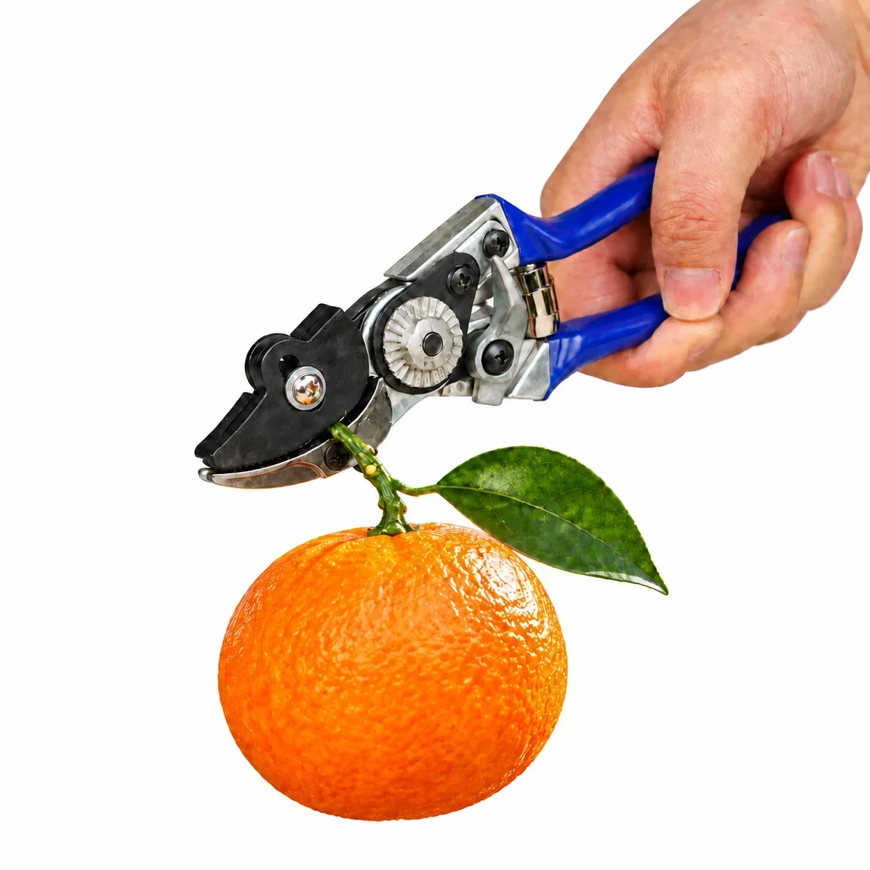 Cut and Hold Fruit Picking Pruning Shears One Hand Harvest Scissors for Strawberries Peppers Grapes and Garden Branch Trimming