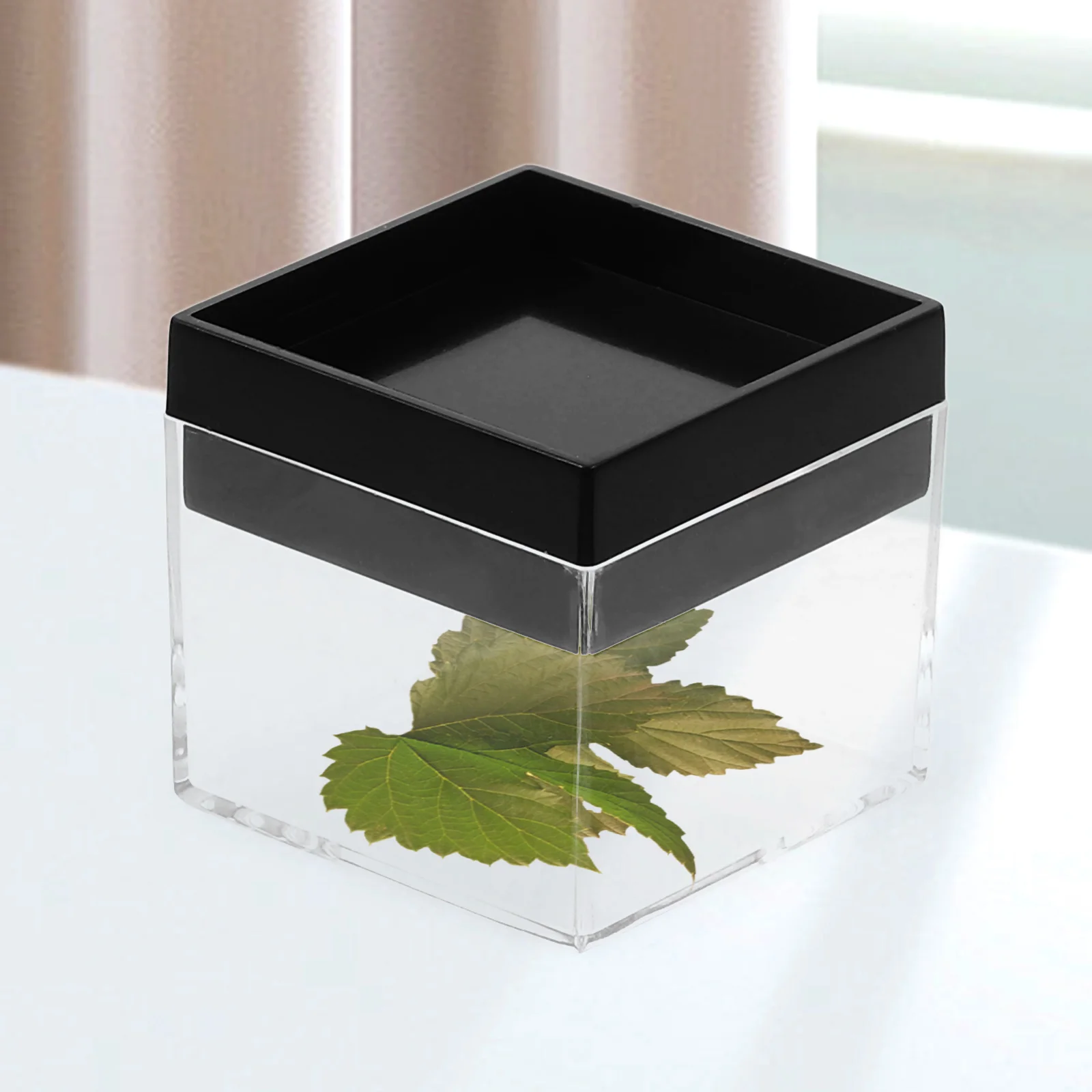 

20Pcs Clear Plastic Display Case Square Storage Box Airtight Organizer for Jewelry Coins Medals Specimens Collectibles