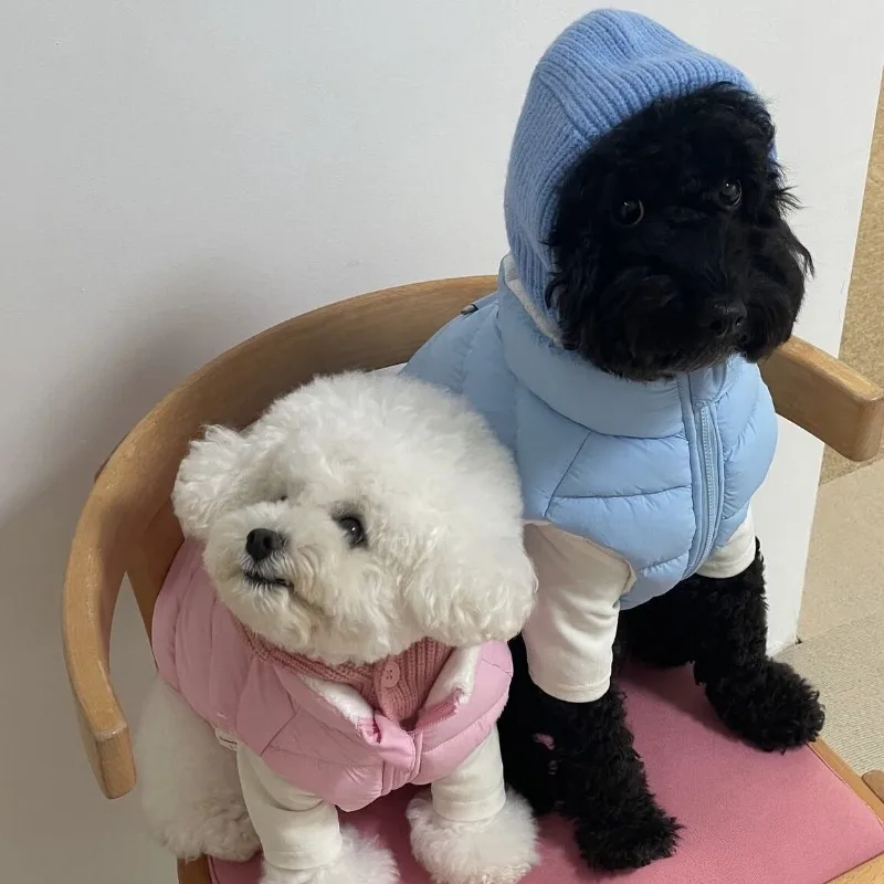 Pet Warm Cover Knitted Wool Hat Autumn and Winter Cute Small Dog Decoration