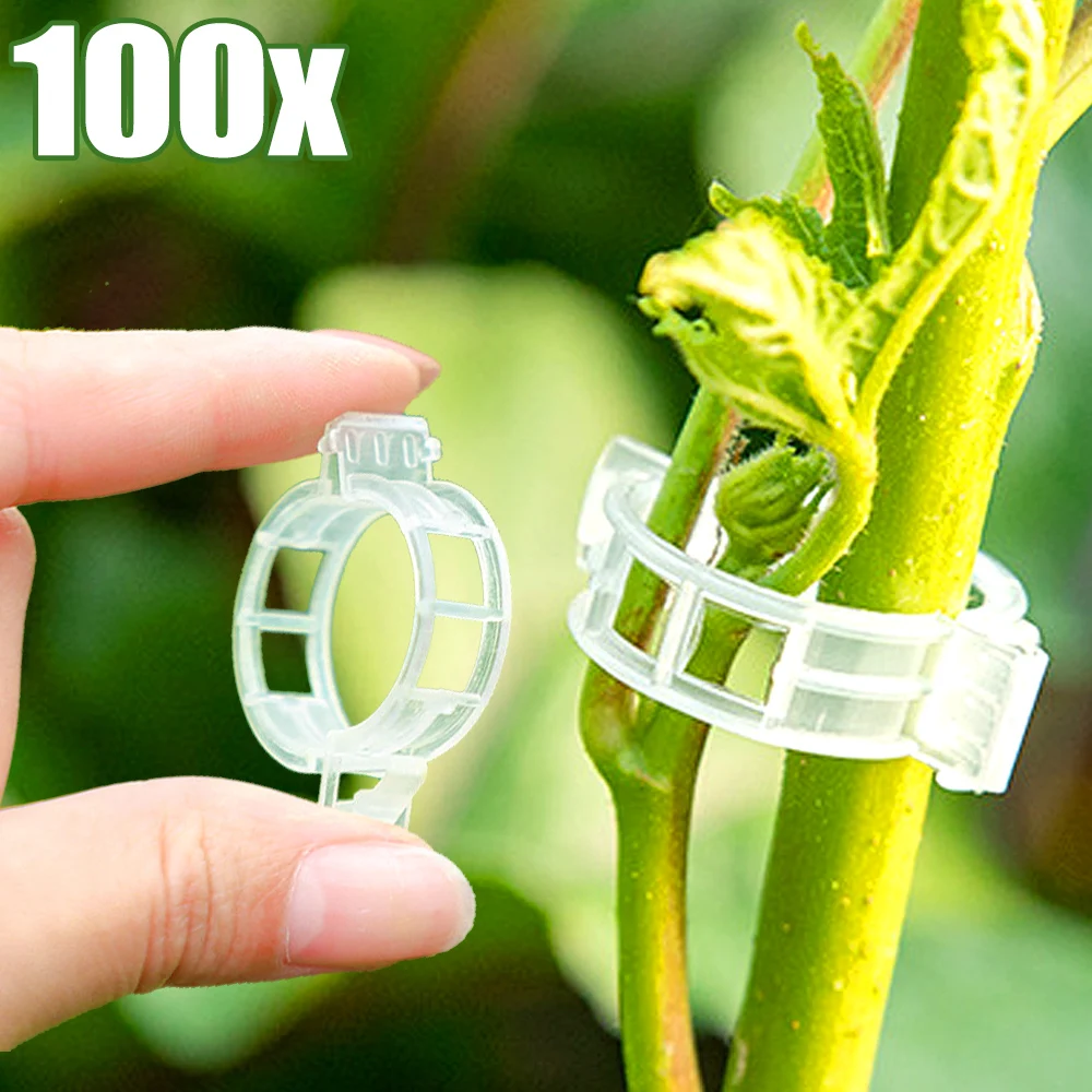 Plant Support Clips Reusable Garden Clips for Support Tomato Grape Vines Fruits Vegetable Plants Grafting Fixing Garden Tools