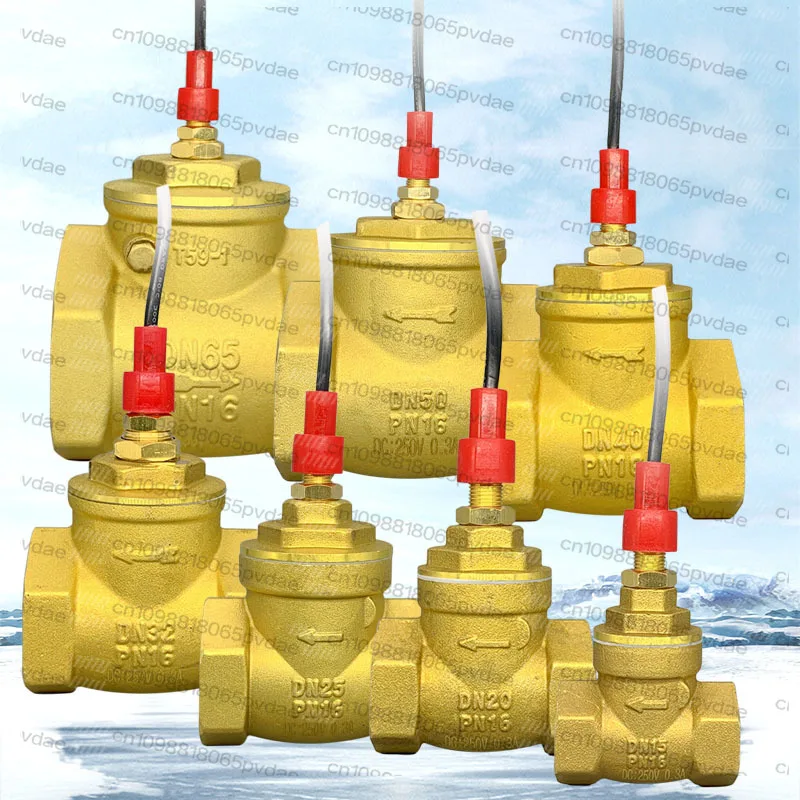 Air Energy High Flow All Copper One-way Valve Baffle Plate Water Flow Induction Signal Flow Switch 4/6-point 1 Inch
