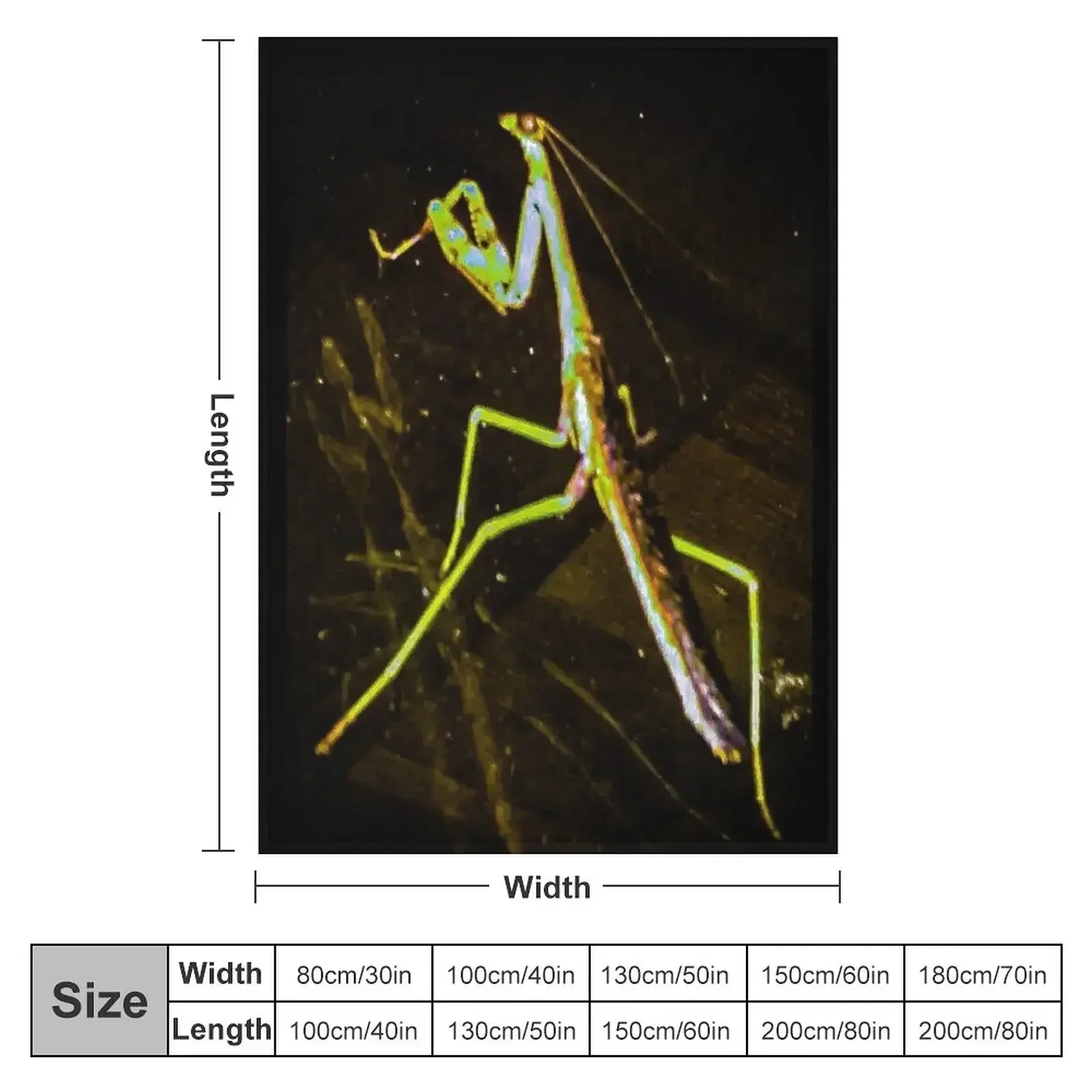 Praying Mantis Throw Blanket couch cozy soft plush fuzzy picnic outdoor blanket