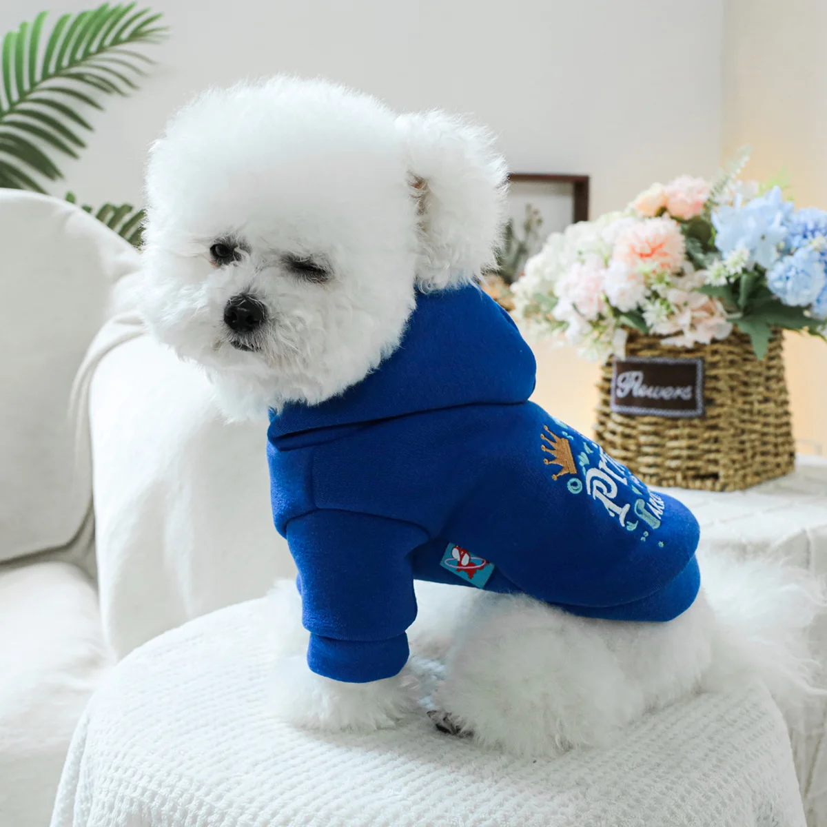 1PC Pet Clothing Spring and Autumn Velvet Blue Little Prince Hoodie Hat Hoodie Suitable for Small and Medium sized Dogs