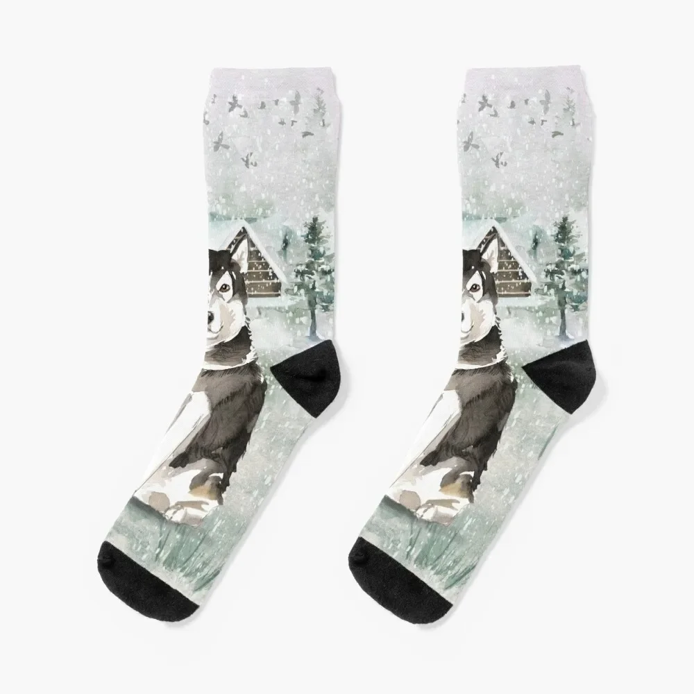 Alaskan Malamute Socks moving stockings funny sock cool Socks For Men Women's