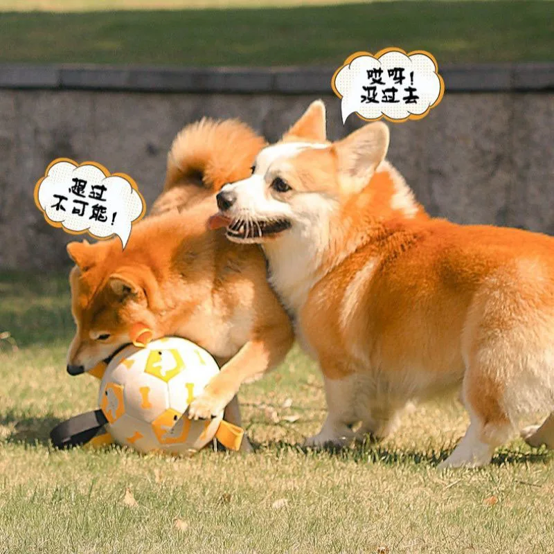 Durable Dog Soccer Ball Toy with Ribbons Interactive Pet Chew Toy for Small Medium Dogs Bite Resistant Training Ball Outdoor Toy