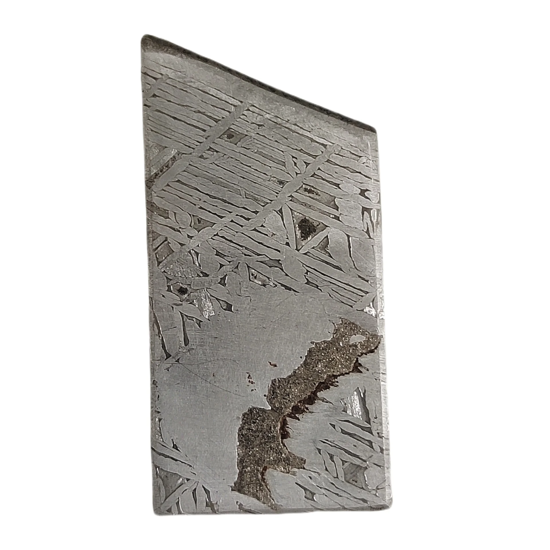 Muonionalusta-Météorites de fer naturelles, matériaux de météorite, spécimen de tranches de météorite, collection de démontrent de météorite, CC115