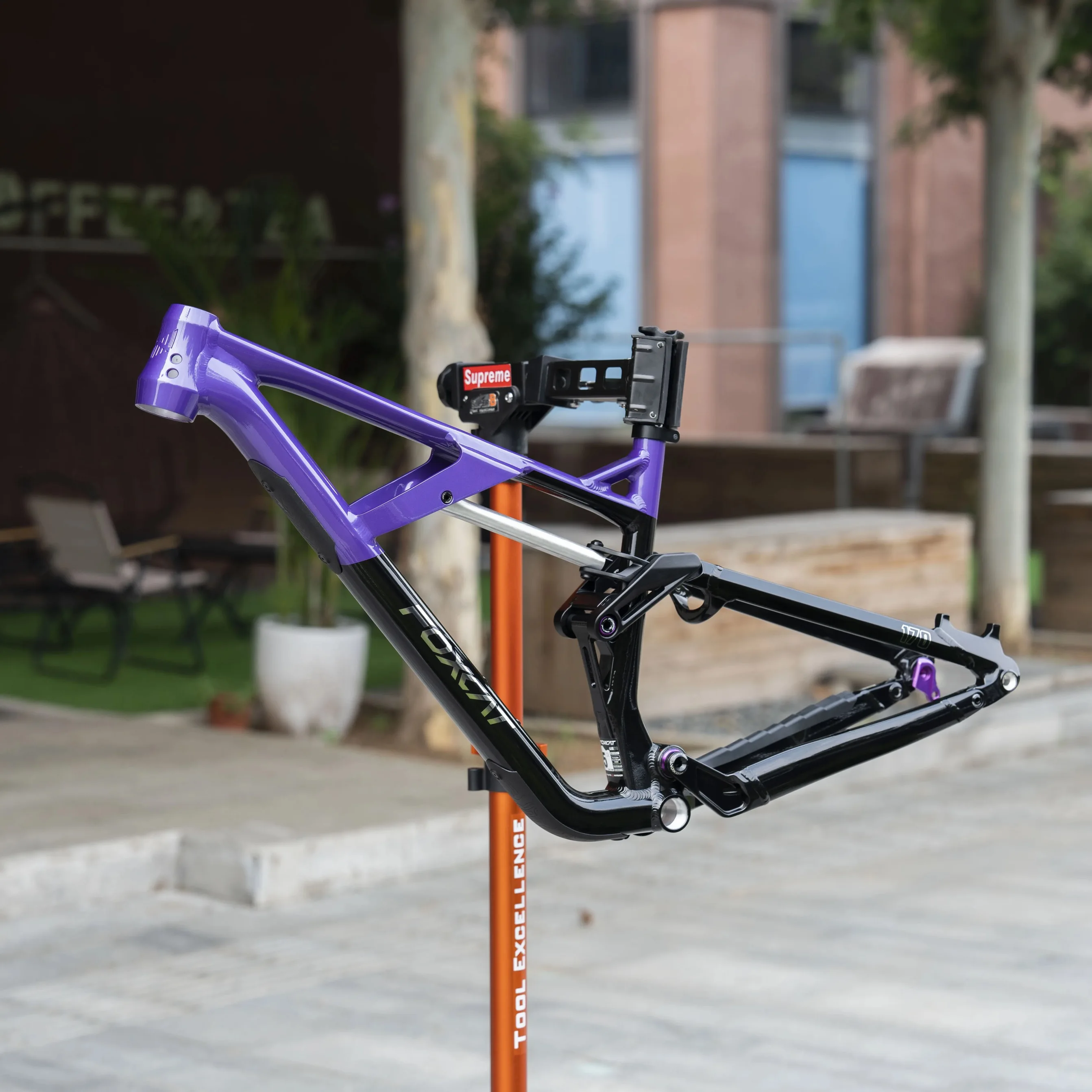 FOXCAT 170 AL Soft-tail MTB Fr - Mountain Biking Downhill 评论和价格