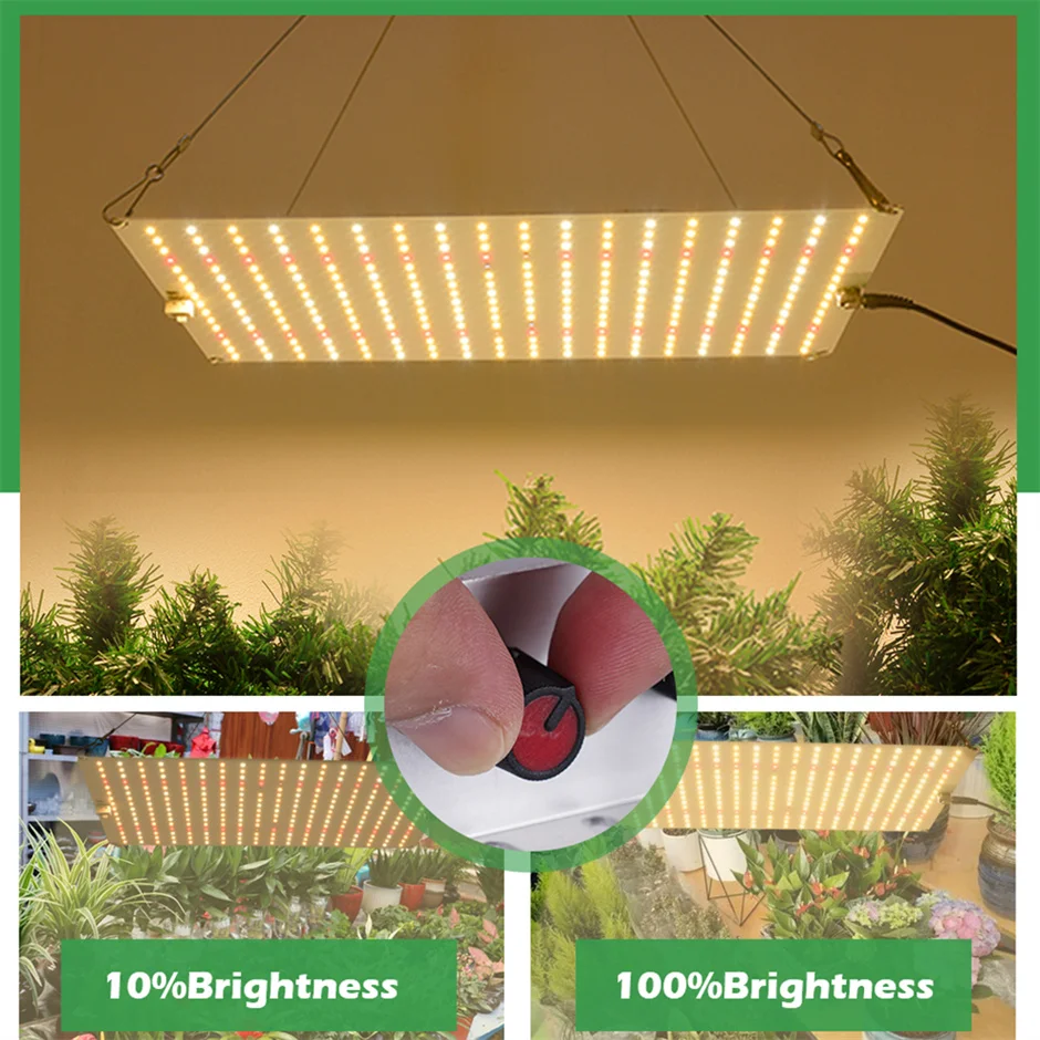 QKWIN-QBD 1200 Max Plant Grow Light, 120W, Full Special, QUANTUM Board com luz vermelha, interruptor ligado e desligado, transporte da gota