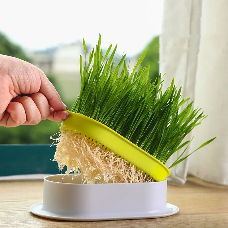 Pet Cat Sprout Dish Growing Pot Hydroponic Plant Cat Grass Germination Digestion Starter Dish Greenhouse Grow Box garden tools