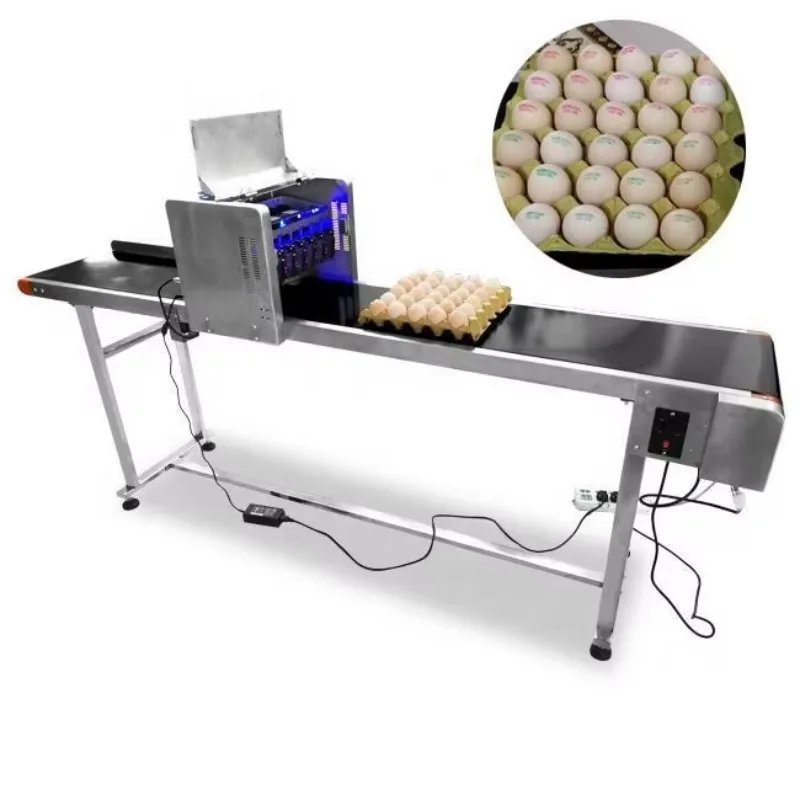 Laser Egg Coding Printer Ink Jet Printer for Eggs Large Egg Printing Machine Customized