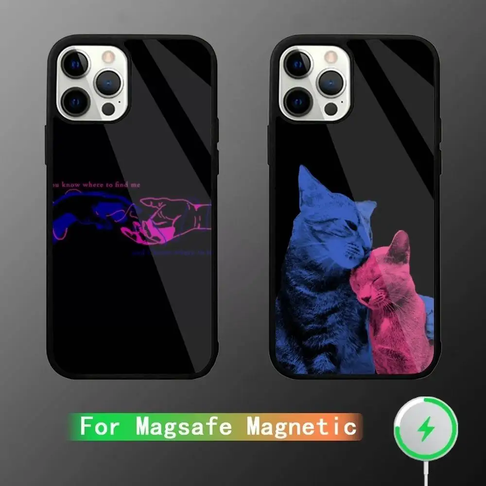 

TV Girl Album Phone Case For iPhone 16,15,14,13,12,11,Plus,Pro,Max Mini Magsafe Magnetic Wireless Charging