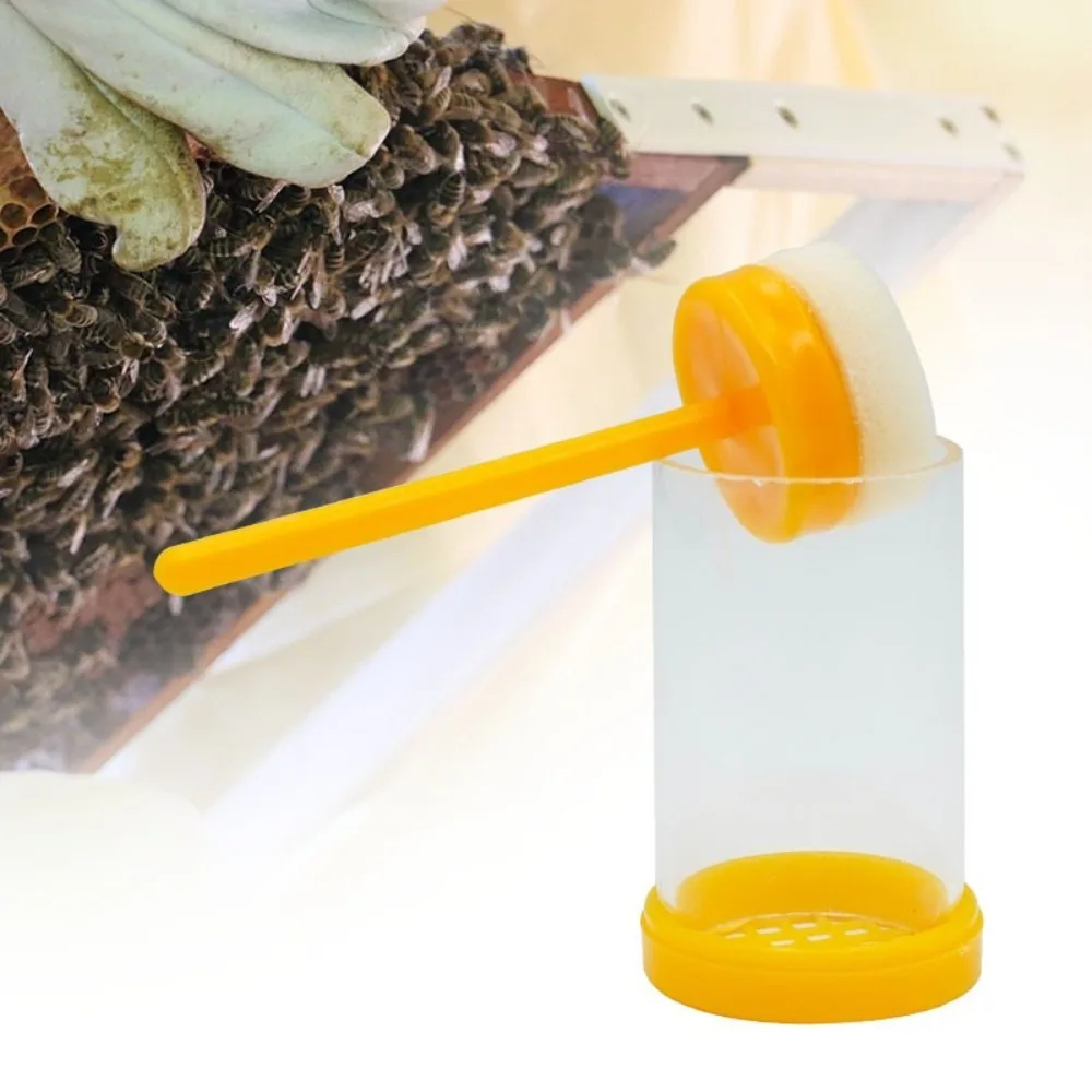 Transparent Queen Bee Labeled Bottle Queen Bee Cages Bee Marker Plunger Marker Tools Plastic Beekeeping Breeding Bottle