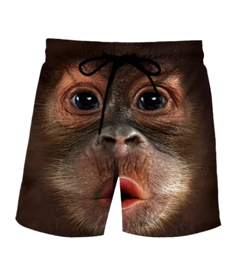 Funny Duck Graphic … - image