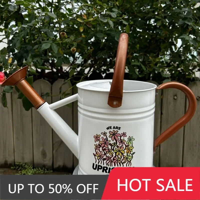 Simple Large Capacity Ferrous Water Cans Luxury Multifunctional Long Mouthed Cans Modern Creative Courtyard Garden Supplies