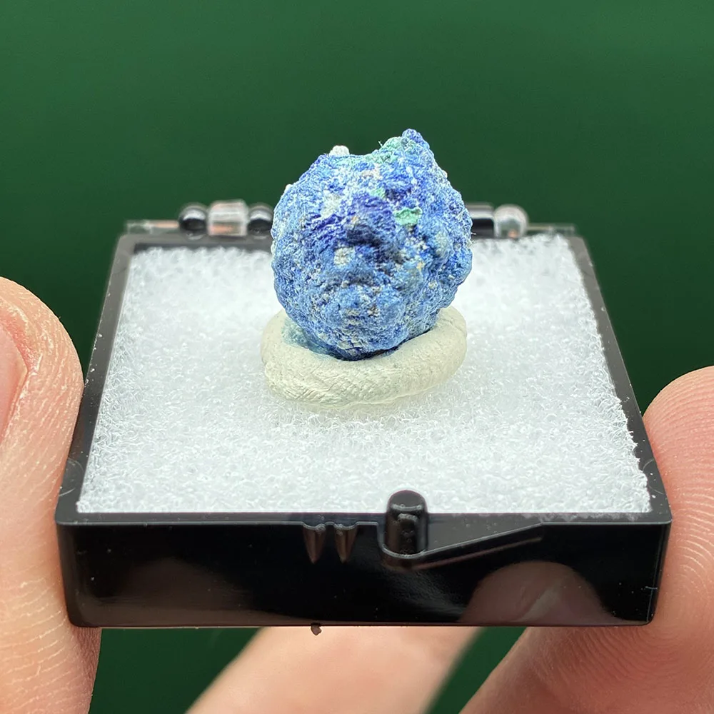 C1-1D 100% Natural …