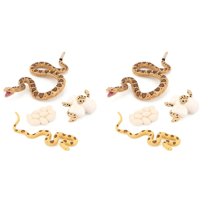 2X สมจริงสัตว์ Life Growth CYCLE แบบจําลองทางชีวภาพงู Growth CYCLE Biological รุ่น Rattlesnake Growth CYCLE