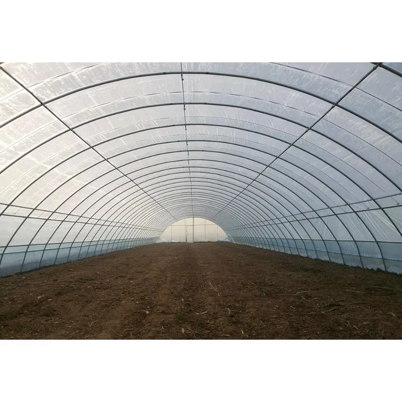 الدفيئة الزراعية على نطاق واسع البيت الساخن منزل دافئ تزايد خيمة مزرعة نفق البيت الأخضر