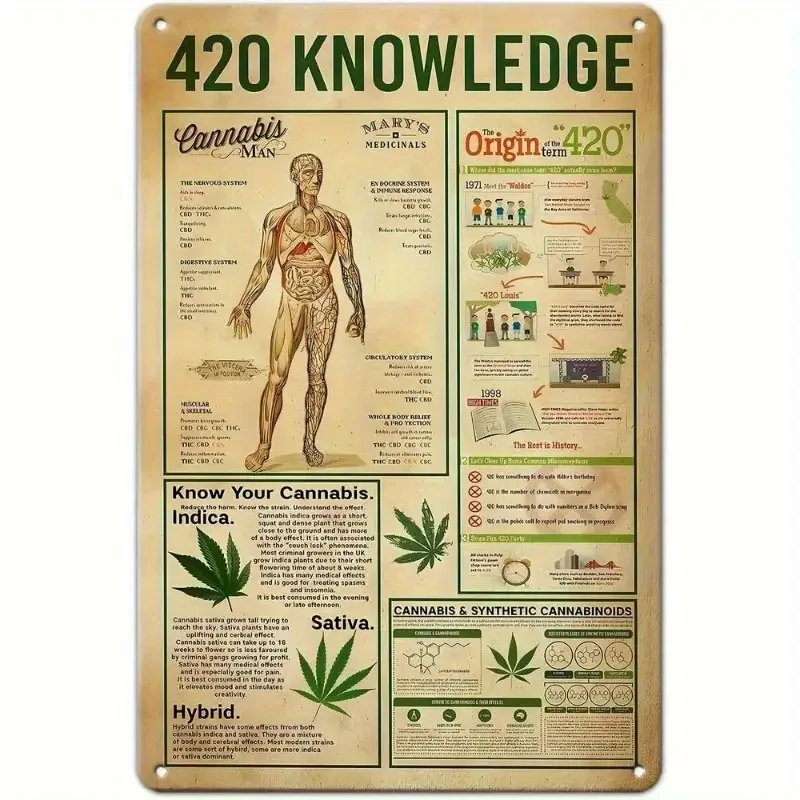 Vintage 8x12 Inch Metal Sign Anatomy & Smoking Methods Chart Educational Wall Art for Home Decor