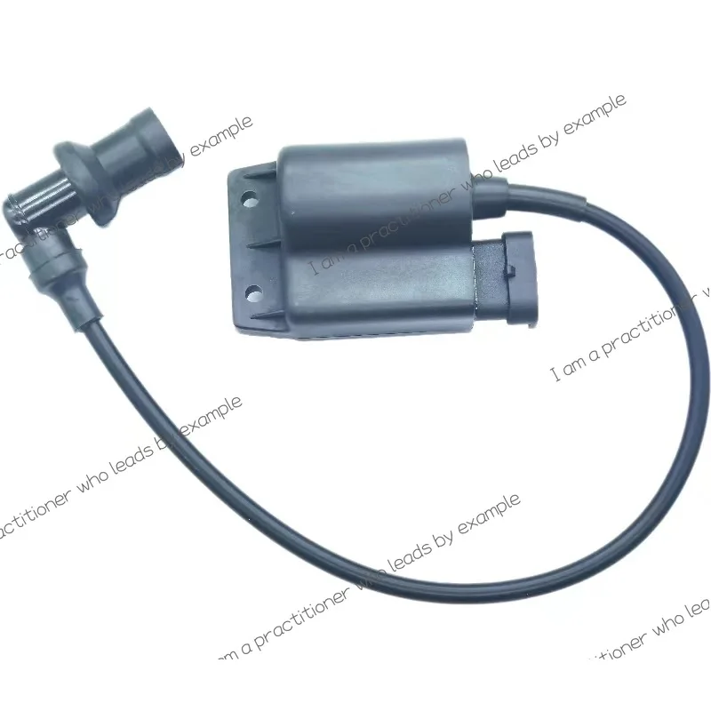 Применимо Piaggio FLY100 Lady Silver Красивая катушка зажигания Катушка зажигания Высоковольтная сумка Аксессуары для мотоциклов