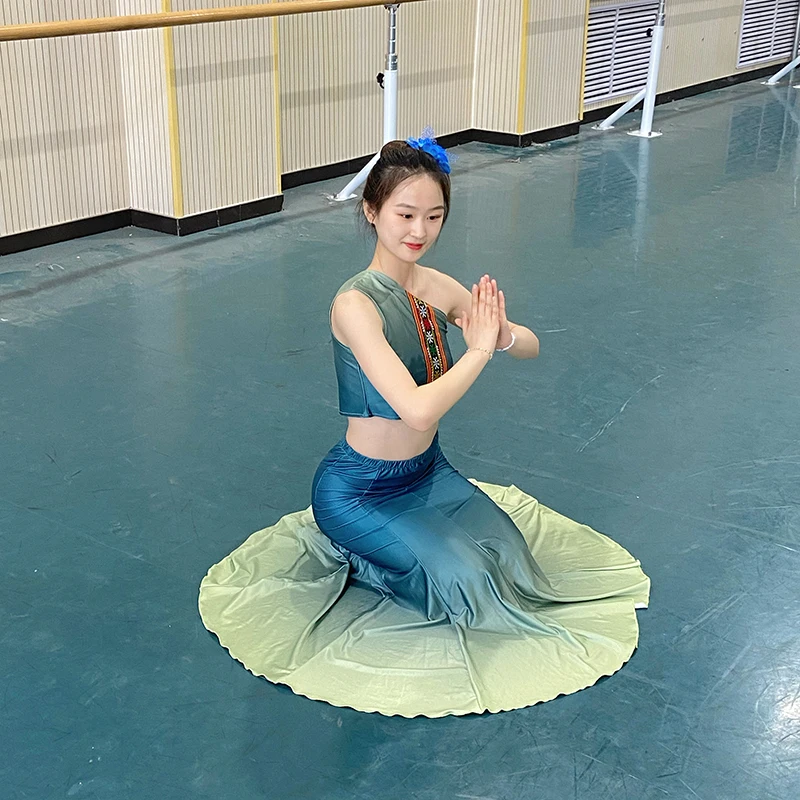 Lady Chinese Wind Dai Dance Performance Dress Art Test Dress Performance Jurk Meisje Pauw Dansrok Praktijk Gong Rok