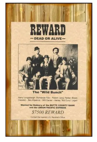 1pcs Reward the Wild Bunch Butch Cassidy Sundance  Poster Or A Metal Tin Sign 12 x 18