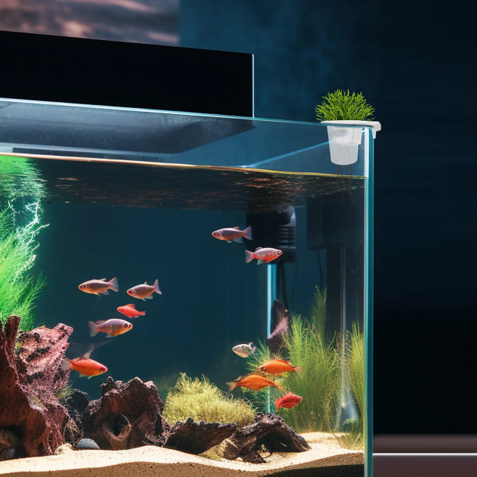 

2 PCS Hydroponic Plant Holder Fish Tank Decorations Rack Clear Aquarium Planter Wall Mounted Space Saving Plastic