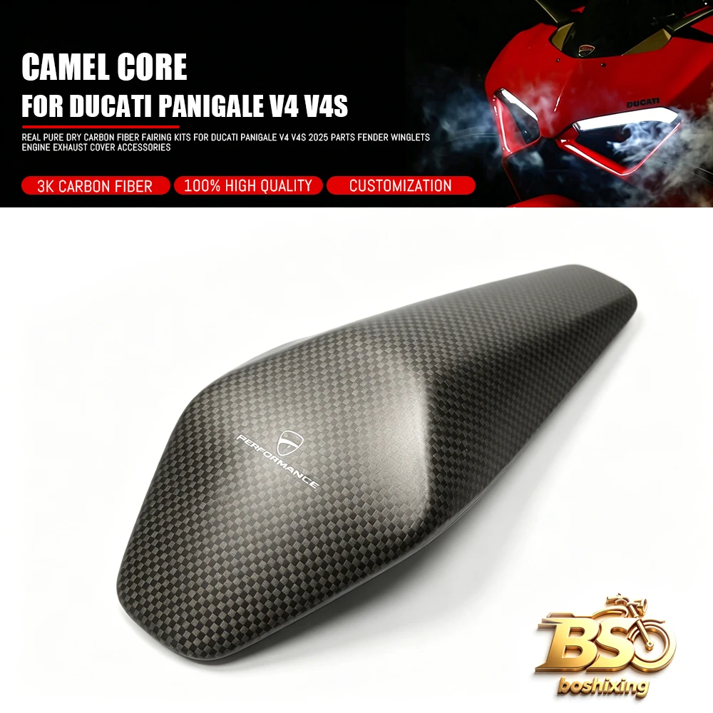 Carbonfaser-Rücksitzkuppel-Verkleidungskit Motorrad-Tuningteile für DUCATI Panigale V2 V4 V4S V4R Streetfighter V4/S V2