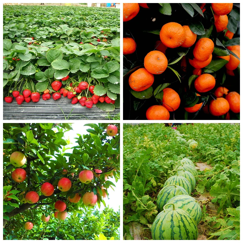 Plant Growth Regulator Atonik Sodium 5-Nitroguaiacolate Natrium Nitropenolate Salt Plant Fertilizer