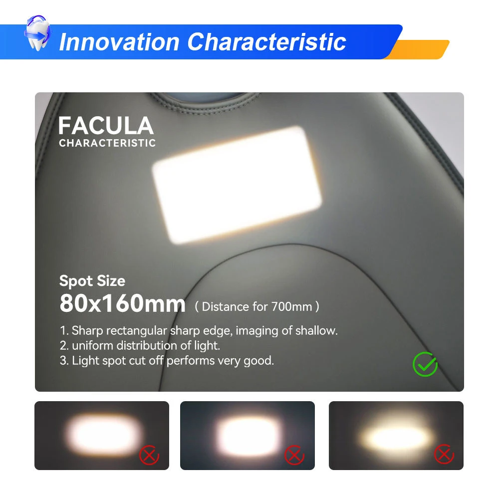 TDOUBEAUTY LED Dental Operating Light, Shadowless Dental Chair Lamp, Adjustable Oral Surgical Light for Dental Unit