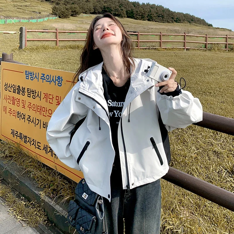 سترة نسائية قصيرة بغطاء للرأس محظورة الألوان لربيع 2025 فاخرة غير رسمية فضفاضة تناسب أنيقة صغيرة الحجم ودية