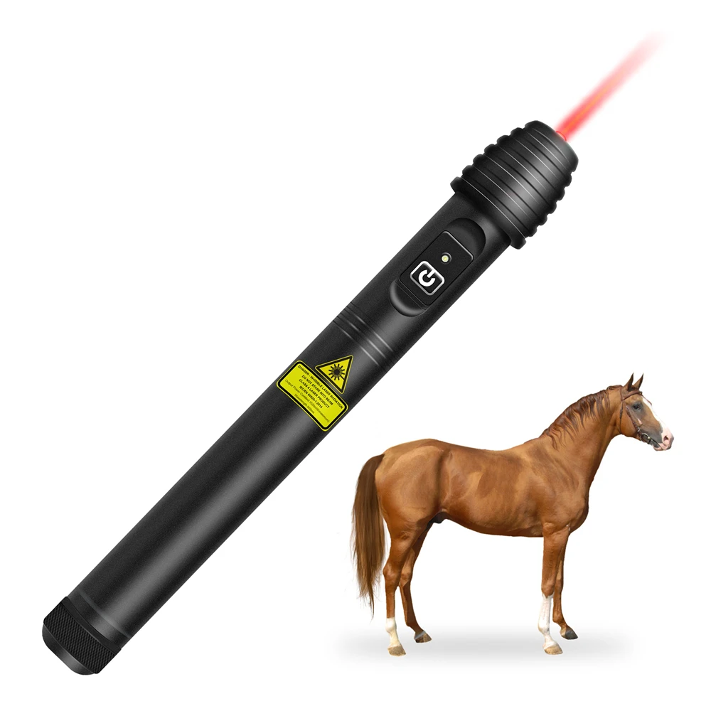 100mW Laser Acupuncture Pen for Dog Back Pain Laser Hilt Therapy High Intensity Laser Therapy Clinic Treatment for Neuropathy