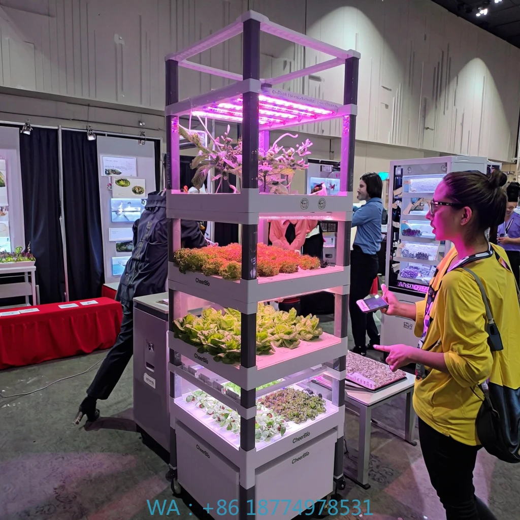 

Домашнее оборудование для гидропоники в помещении для орошения теплицы. Новая вертикальная система гидропонной посадки с управлением по мобильному телефону.