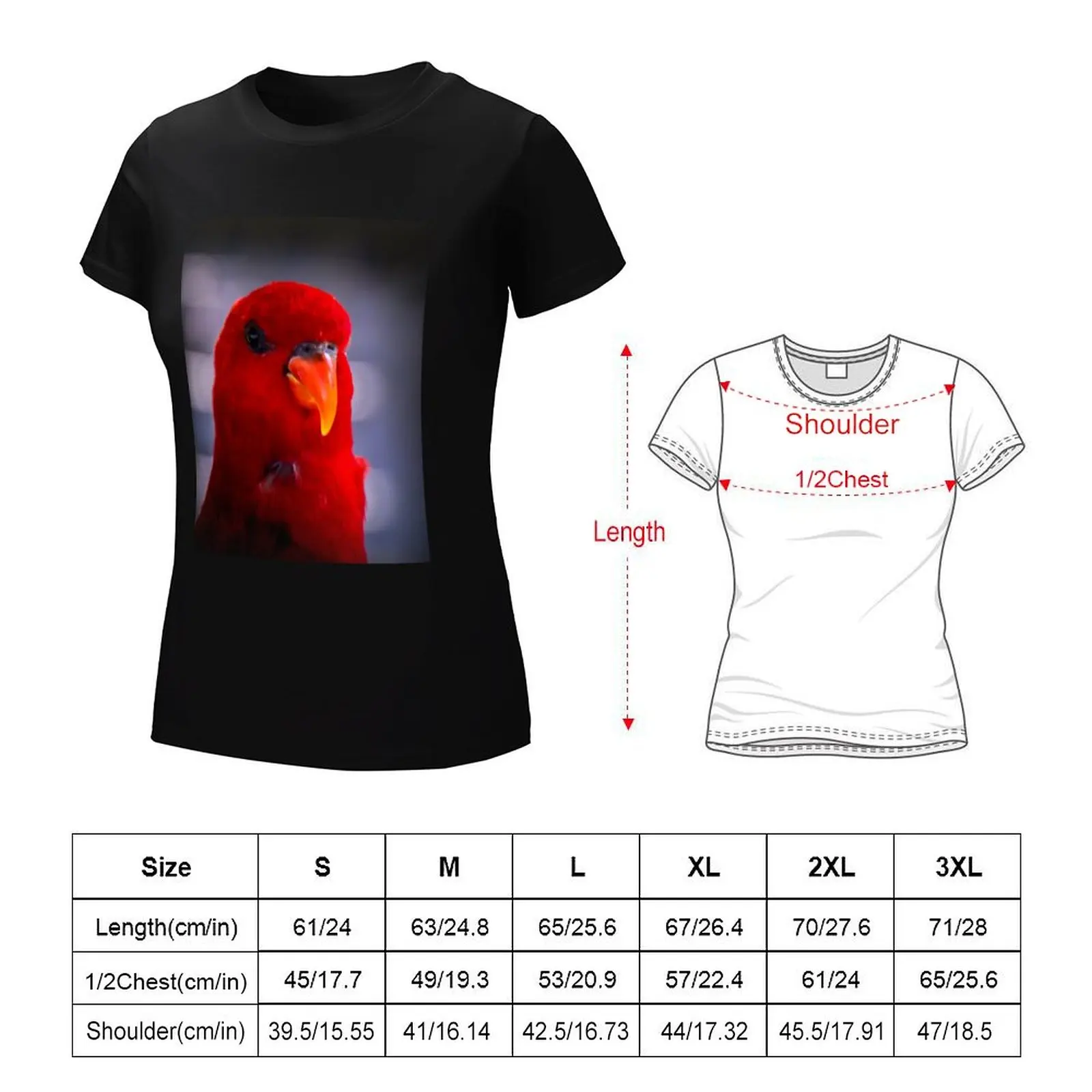 Red lory T-Shirt customizeds quick-drying Aesthetic clothing Women's t-shirt