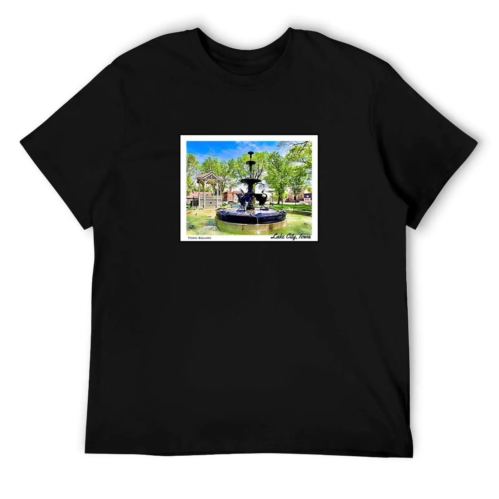 

Town Square in Lake City, Iowa T-Shirt t shirts cotton 100% t shirts with prints T-Shirt